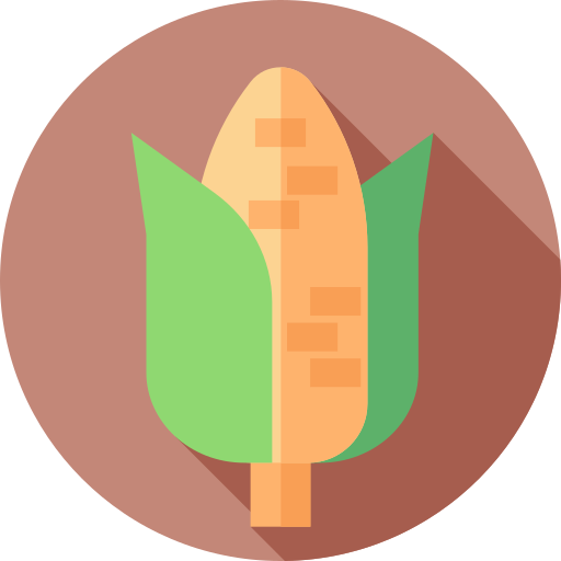 Corn Flat Circular Flat icon
