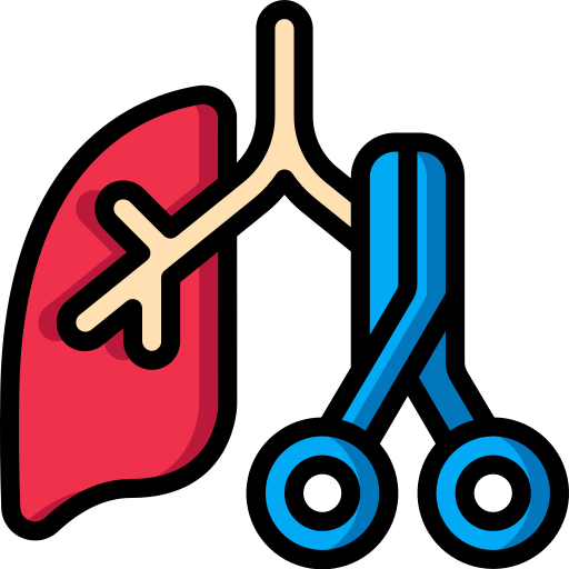 Lung Basic Miscellany Lineal Color icon