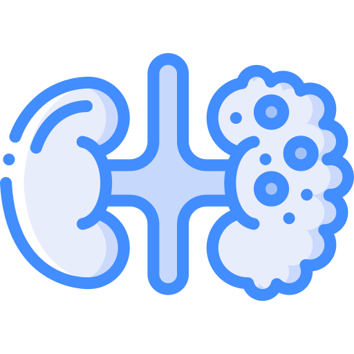 腎臓 Basic Miscellany Blue icon