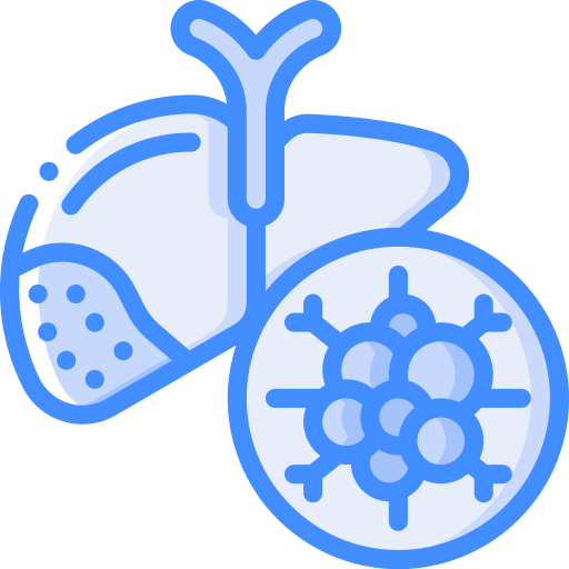 Liver Basic Miscellany Blue icon
