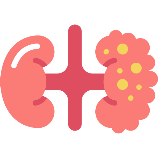Kidneys Basic Miscellany Flat icon