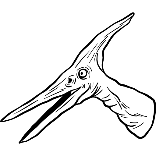 ptéranodon Hand Drawn Black Icône