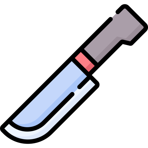 Chefs knife Special Lineal color icon
