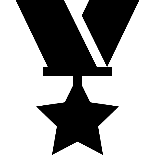 medaglia Basic Straight Filled icona