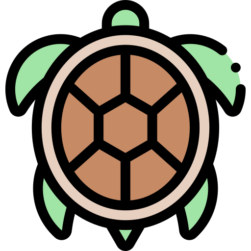 Turtle Detailed Rounded Lineal color icon