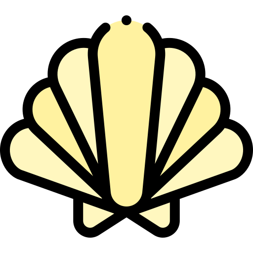 Seashell Detailed Rounded Lineal color icon