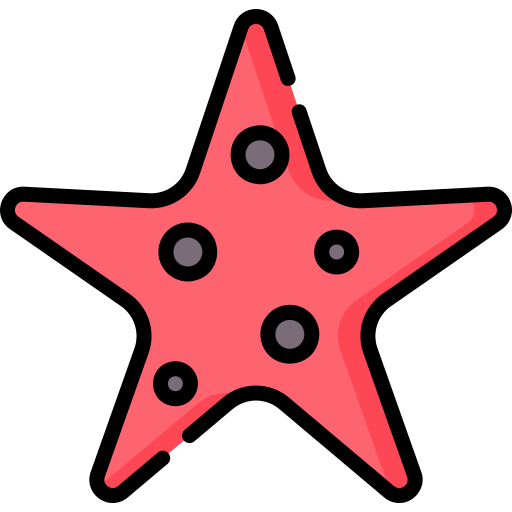 Starfish Special Lineal color icon