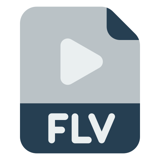 Flv Generic Flat icon