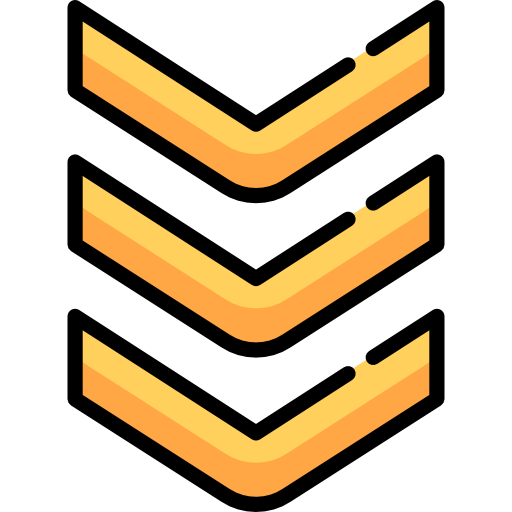 rango Special Lineal color icono