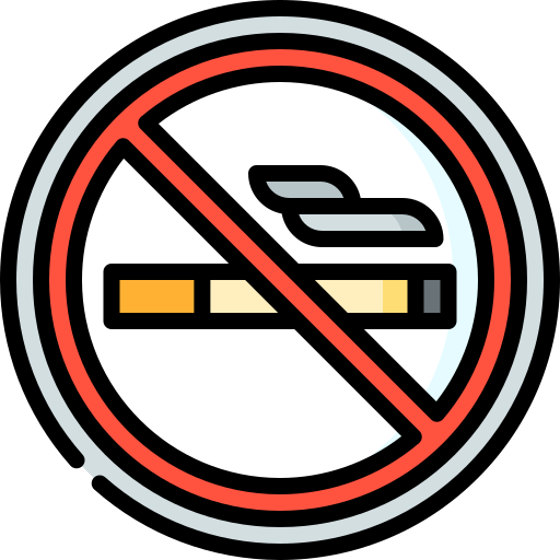 喫煙禁止 Special Lineal color icon