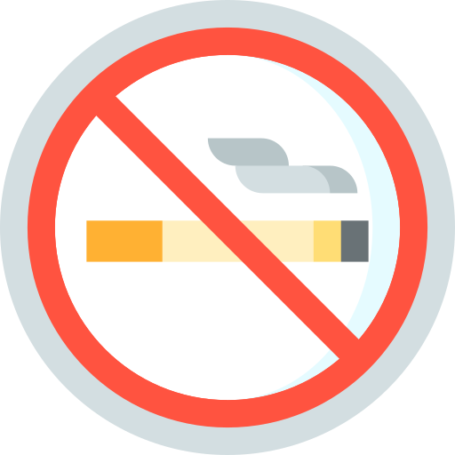 No smoking Special Flat icon