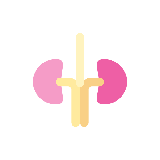 Kidneys Good Ware Flat icon