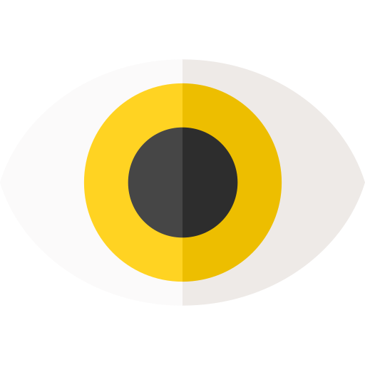 Eye Basic Straight Flat icon