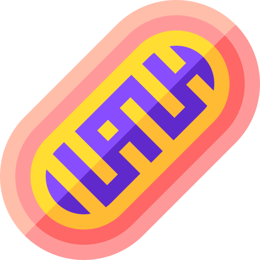 Mitochondria Basic Straight Flat icon