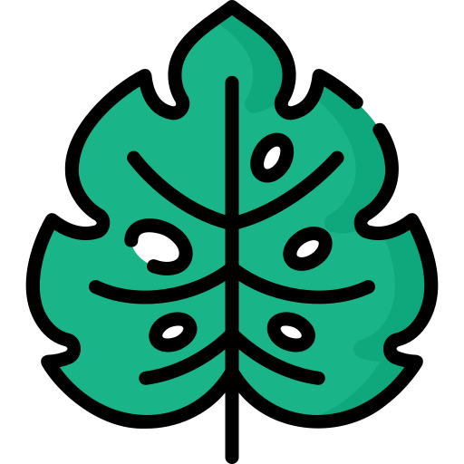 Leaf Special Lineal color icon