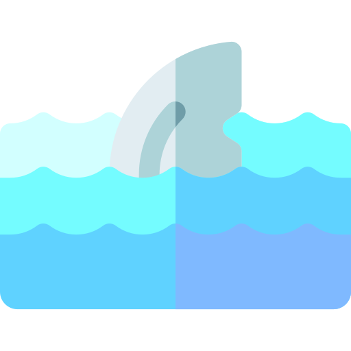squalo Basic Rounded Flat icona