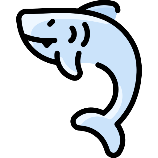 Shark Vitaliy Gorbachev Lineal Color icon