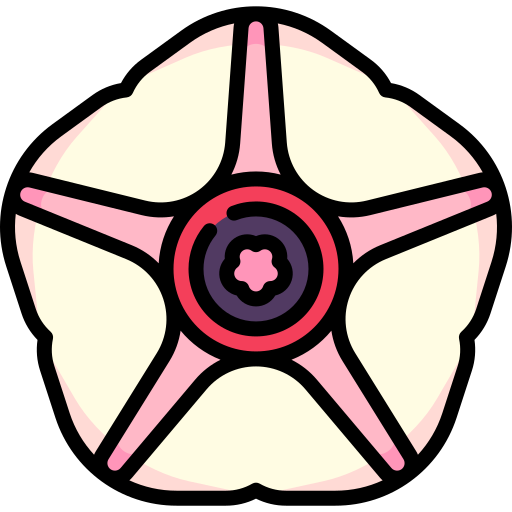 サツマイモ Special Lineal color icon