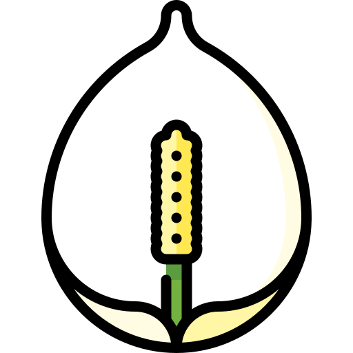 pokojowa lilia Special Lineal color ikona