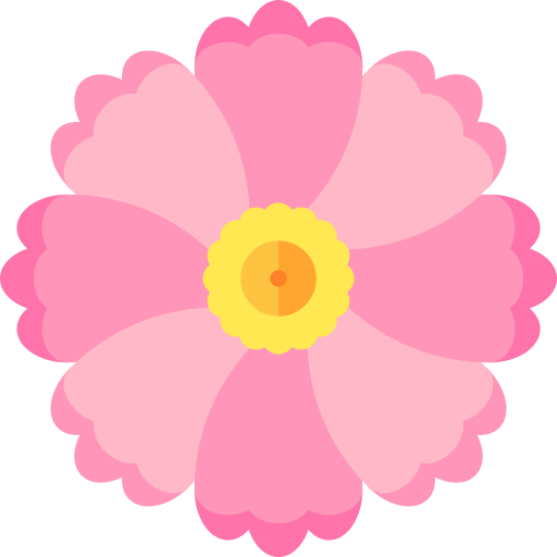 Pink cosmos Special Flat icon