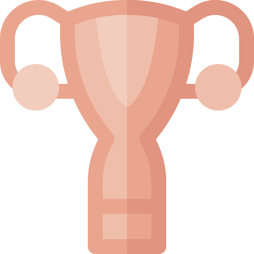 uterus Basic Rounded Flat icon