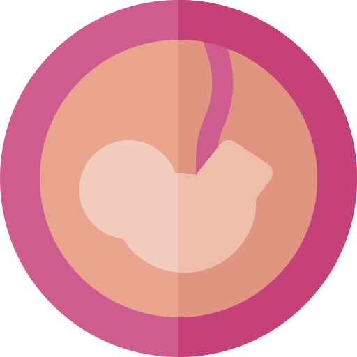 embrione Basic Rounded Flat icona