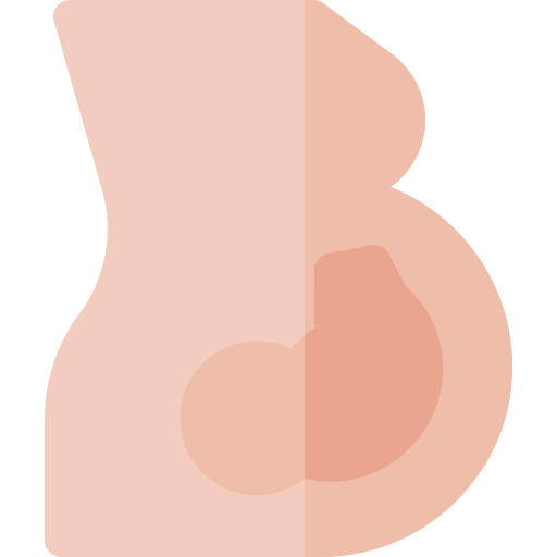 gravidez Basic Rounded Flat Ícone
