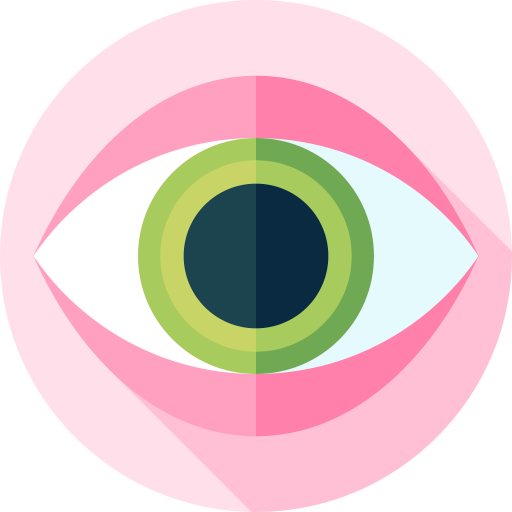 oog Flat Circular Flat icoon