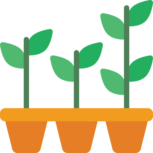 Seedlings Basic Miscellany Flat icon