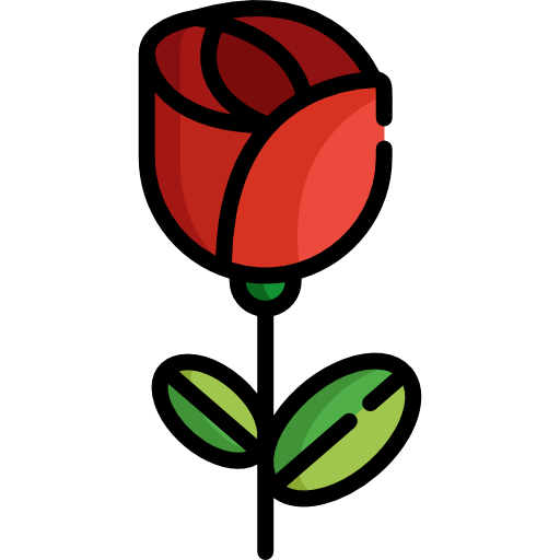 Rose Special Lineal color icon