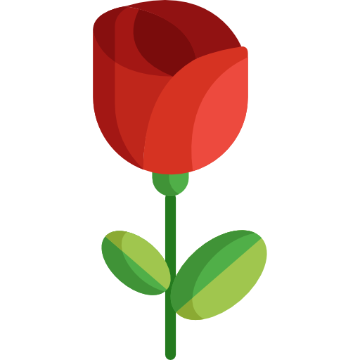 Rose Special Flat icon