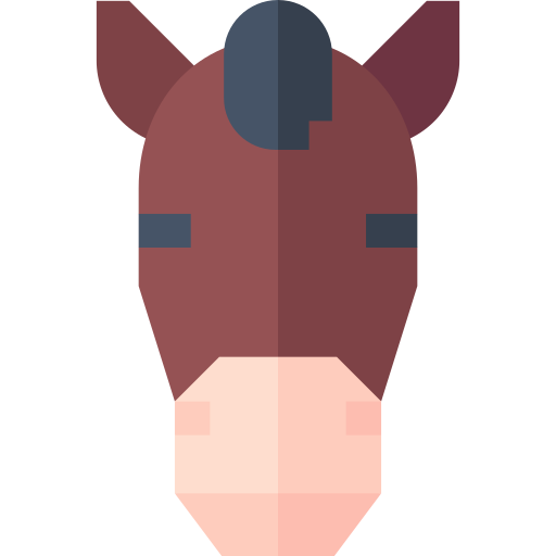 pferd Basic Straight Flat icon