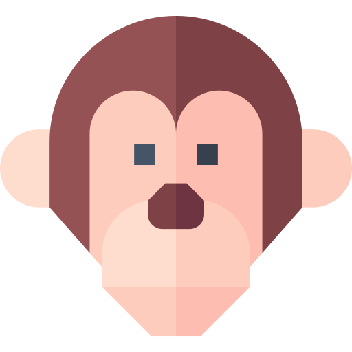 małpa Basic Straight Flat ikona