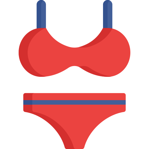 bikini Special Flat icono