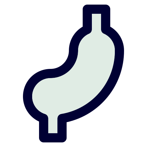 bauch Generic Outline Color icon