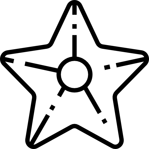 Морская звезда Detailed Straight Lineal иконка