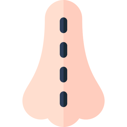 rhinoplastie Basic Rounded Flat Icône