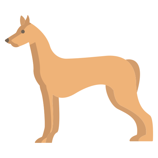 pharao-hund Icongeek26 Flat icon