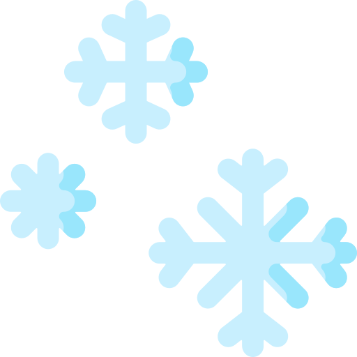 Snowflake Special Flat icon