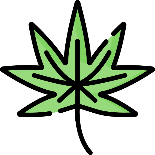 cannabis Special Lineal color icon