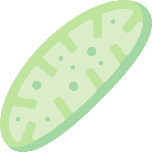 mitochondriën Special Flat icoon