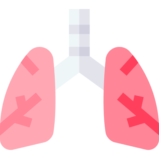 pulmões Basic Straight Flat Ícone