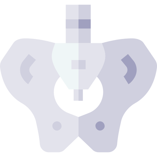 pelvis Basic Straight Flat icono