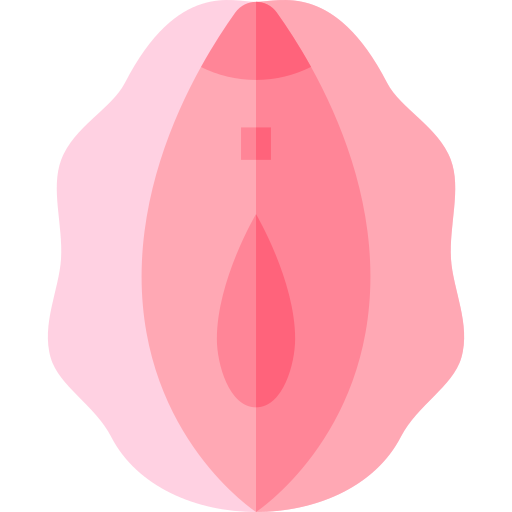 vulva Basic Straight Flat Ícone