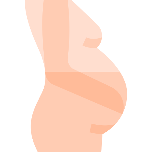 gravidez Basic Straight Flat Ícone