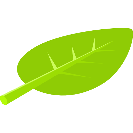 Leaf Isometric Flat icon