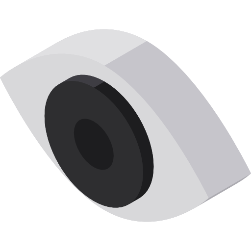 Vision Isometric Flat icon