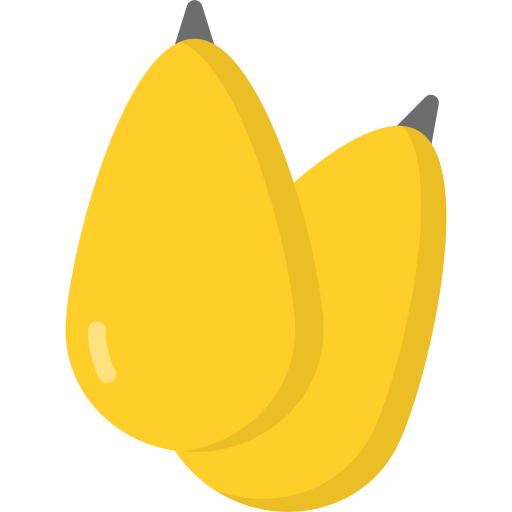 Loquat Generic Flat icon