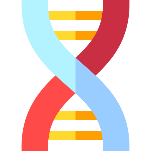 dna Basic Straight Flat icona