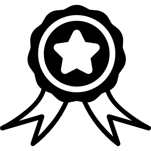 insignia de elecciones con una estrella  icono